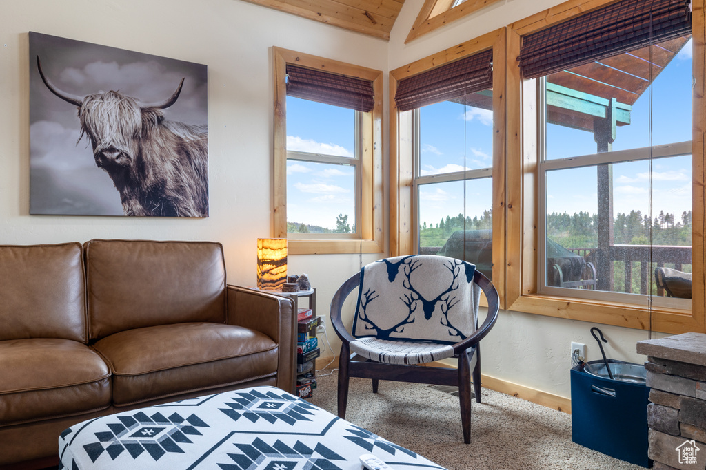 Carpeted living area featuring lofted ceiling and baseboards