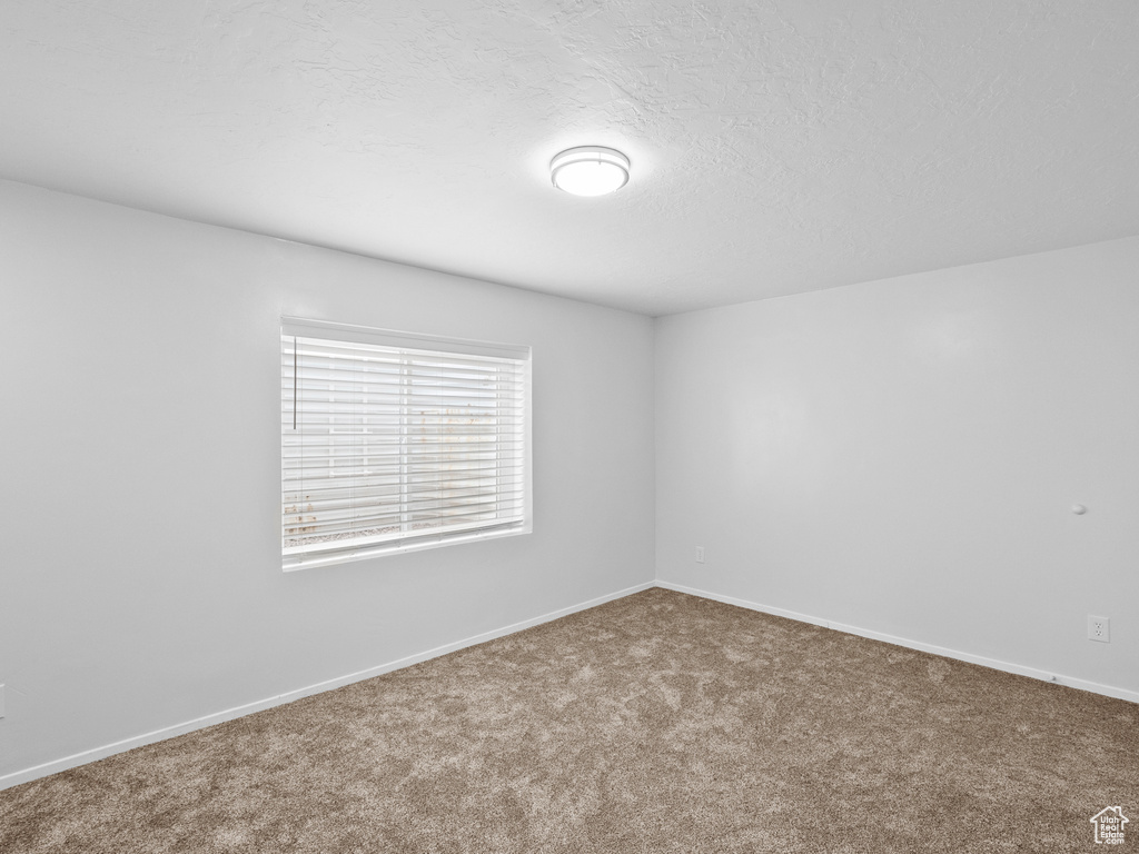 Unfurnished room featuring carpet and a textured ceiling