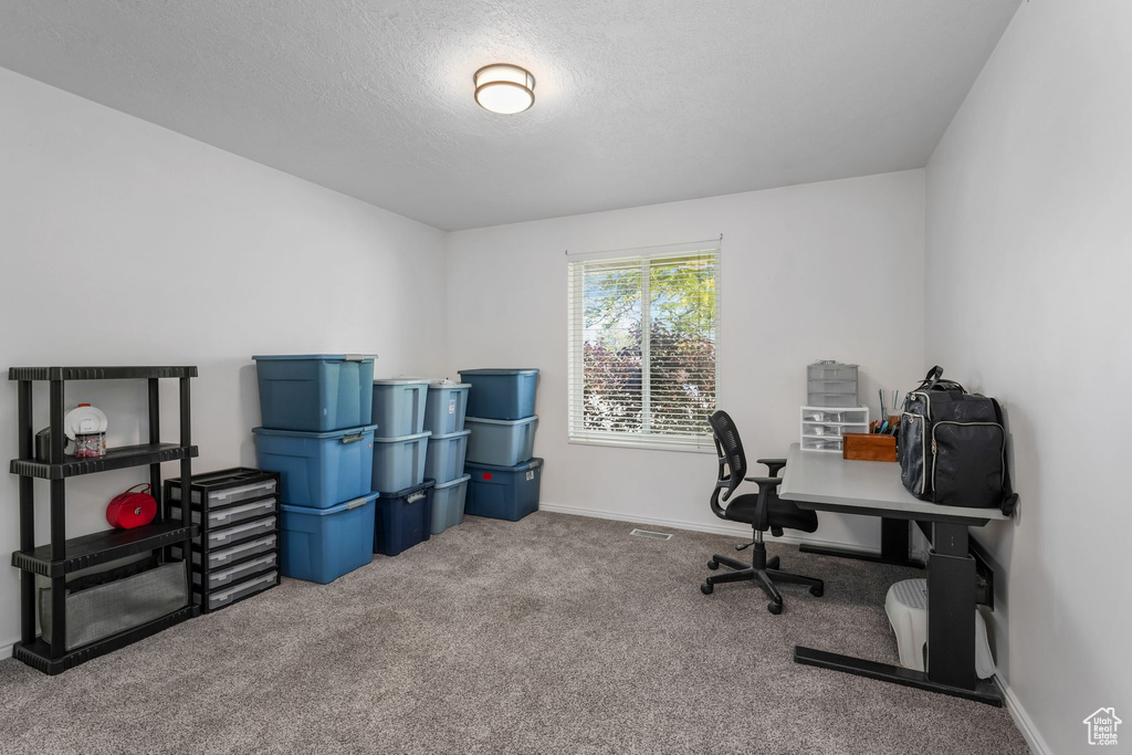 Office space with carpet flooring and a textured ceiling
