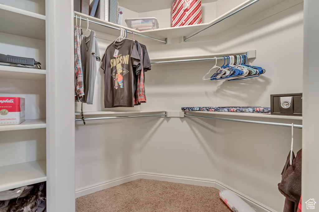 Walk in closet featuring carpet floors
