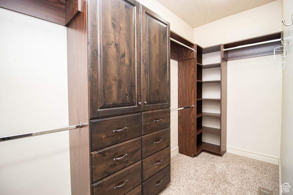 Spacious closet with light carpet