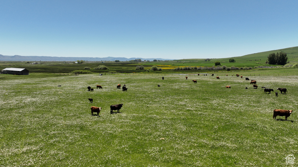 View of yard with a view of rural / pastoral area and a mountain view