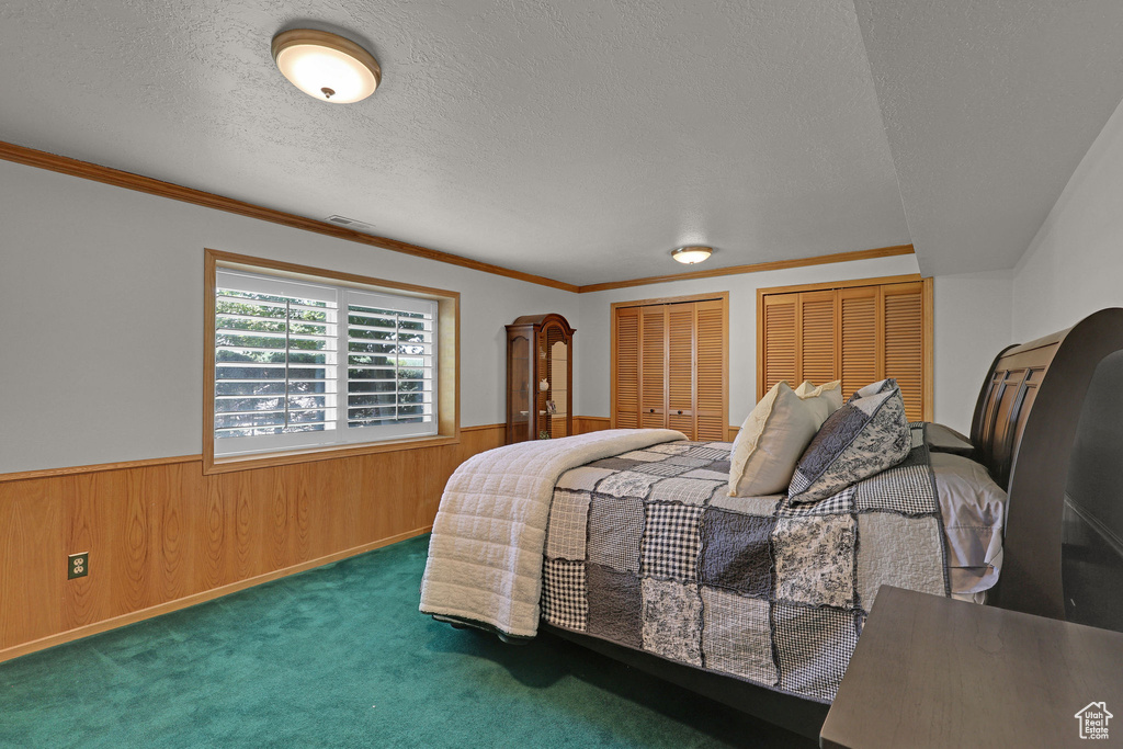 Carpeted bedroom with two closets, a wainscoted wall, wood walls, ornamental molding, and a textured ceiling