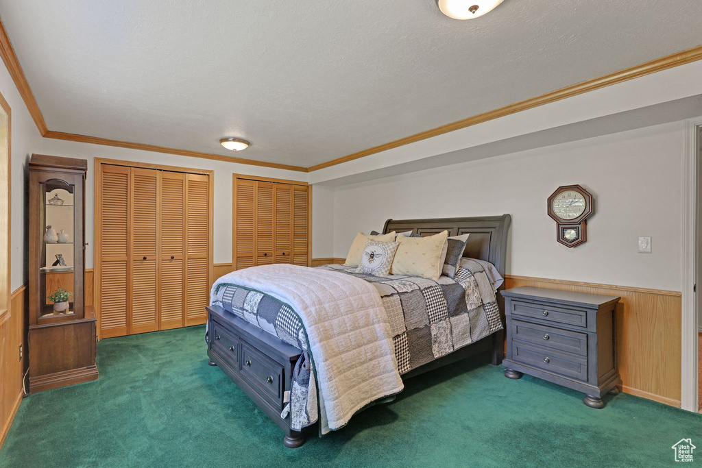 Bedroom featuring carpet flooring, multiple closets, ornamental molding, wainscoting, and wooden walls