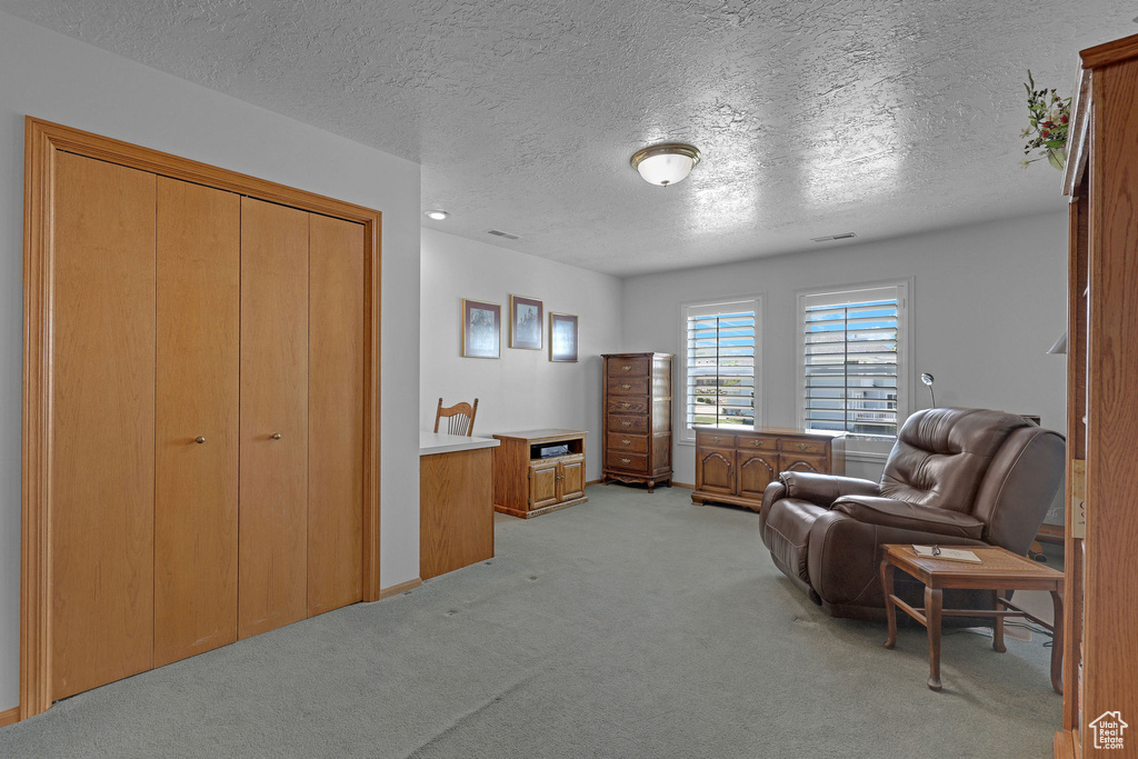 Sitting room with light carpet and a textured ceiling