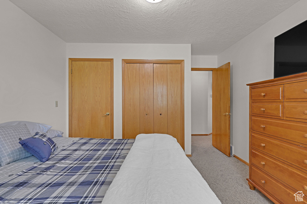Bedroom with carpet flooring and multiple closets