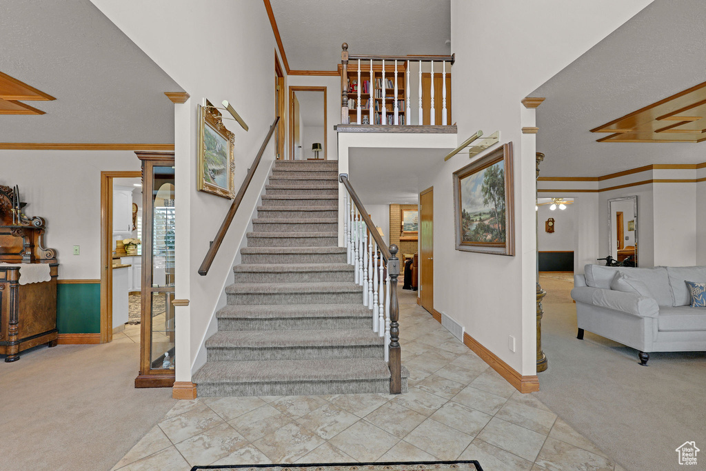 Stairs featuring carpet floors, ceiling fan, healthy amount of natural light, and ornamental molding