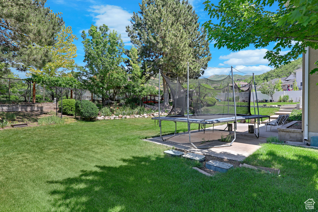 Fenced backyard with a trampoline