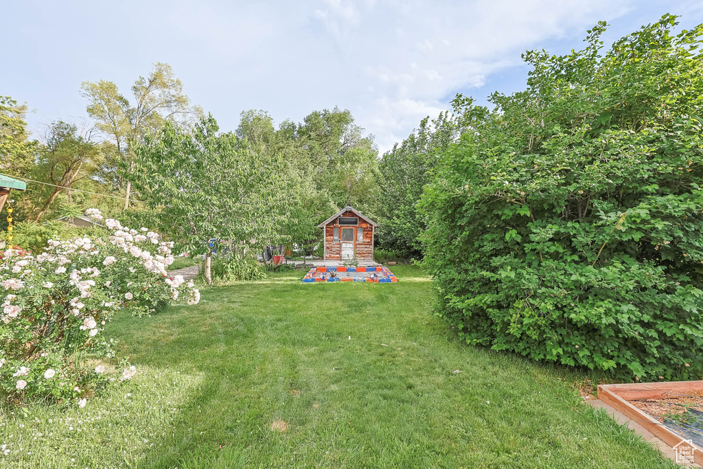 View of grassy yard