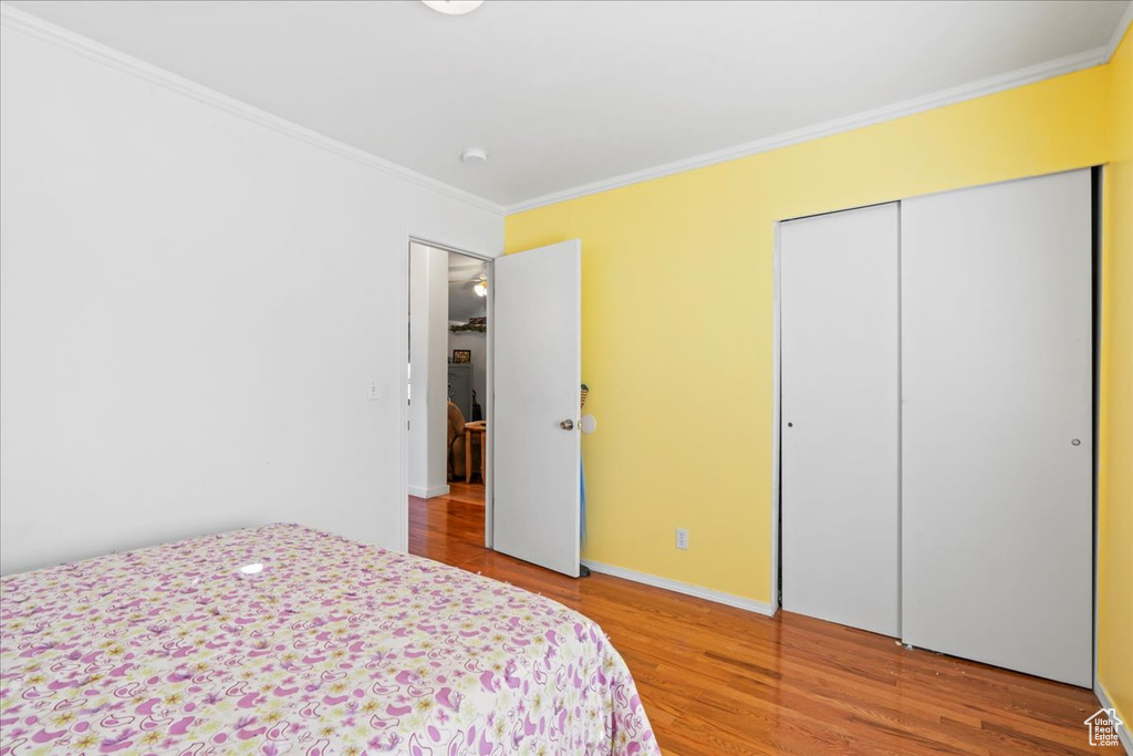 Bedroom featuring ornamental molding, light wood-style floors, and a closet