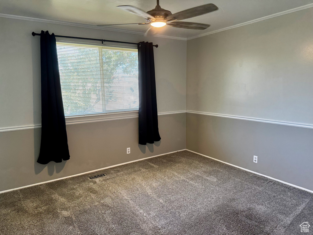 Spare room featuring a ceiling fan, carpet, and crown molding