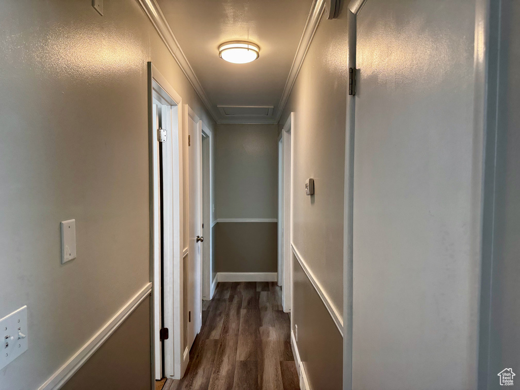 Hall featuring dark wood-type flooring and crown molding