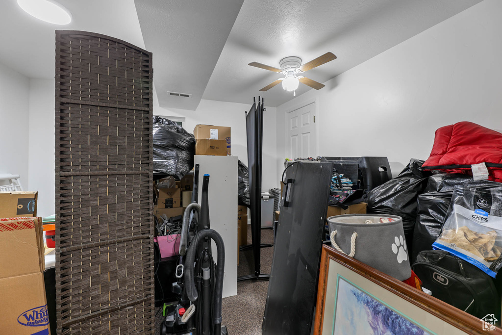 Storage featuring ceiling fan