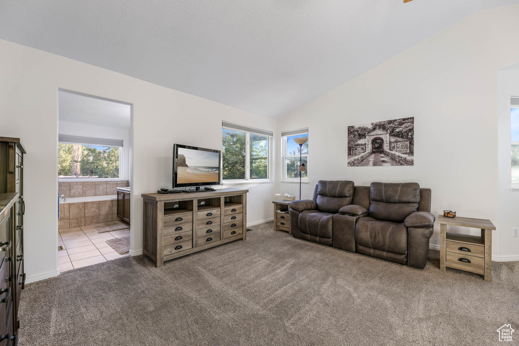 Tiled living room with carpet floors and vaulted ceiling
