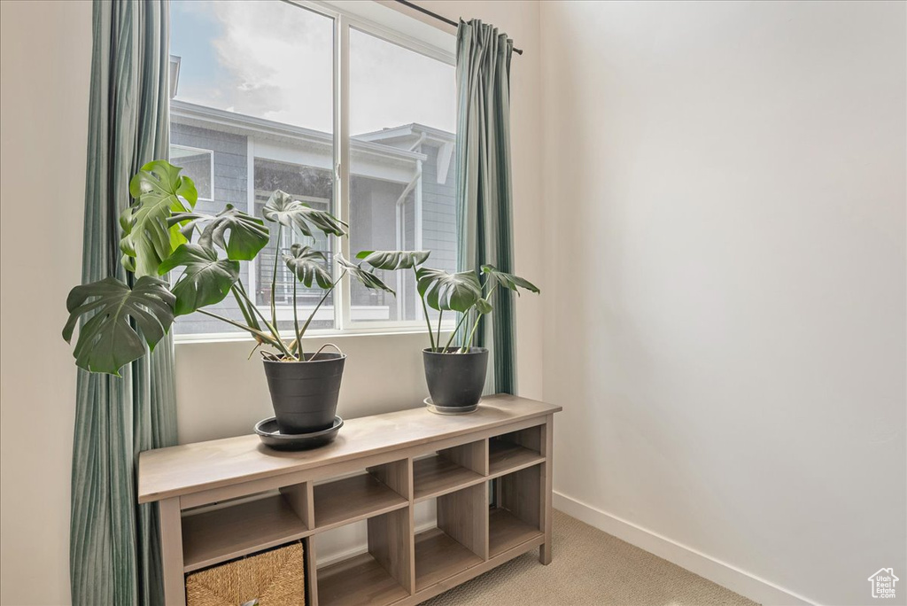 Detailed view of baseboards and carpet flooring