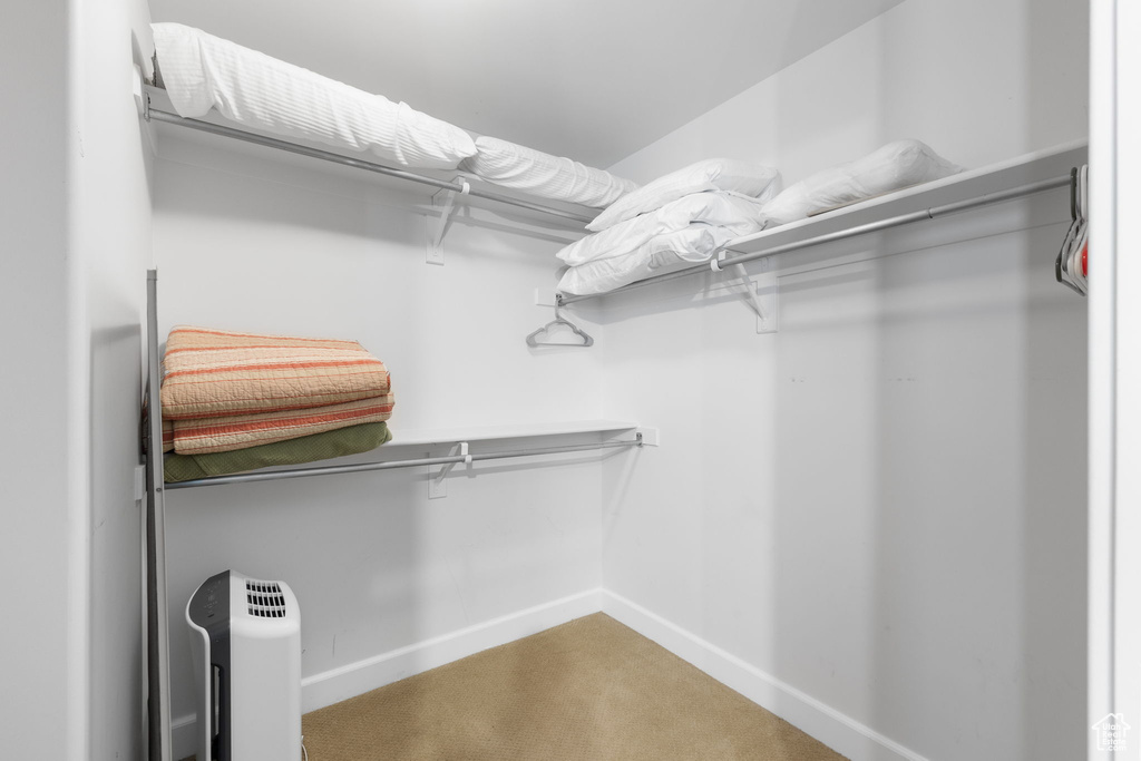 Walk in closet featuring carpet