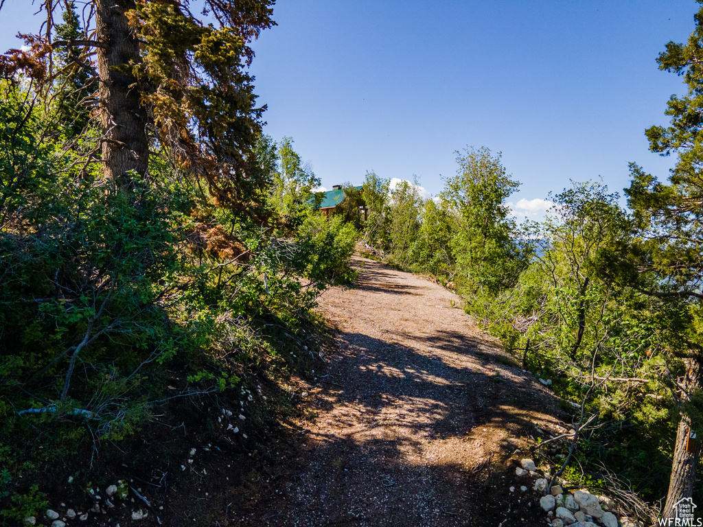 View of road