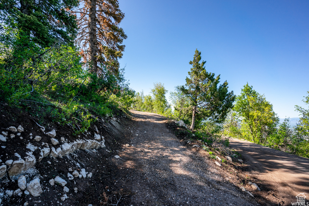 View of road