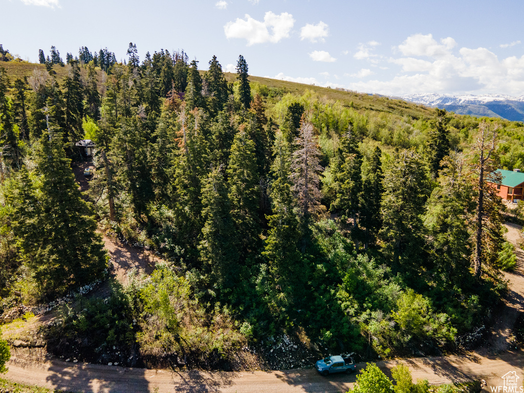 View of mountain background