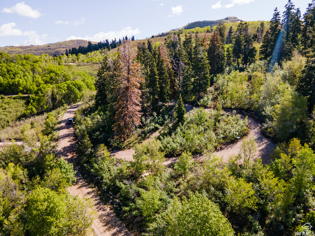 Mountain view with a heavily wooded area