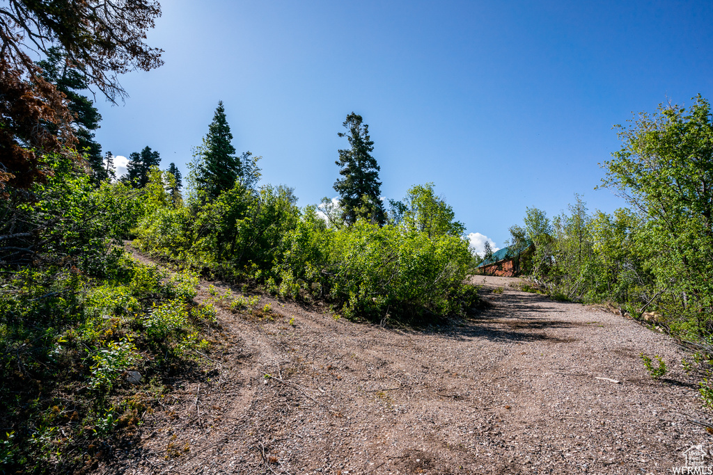 View of dirt / gravel road
