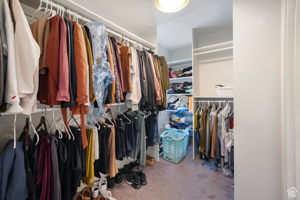 Walk in closet featuring carpet flooring