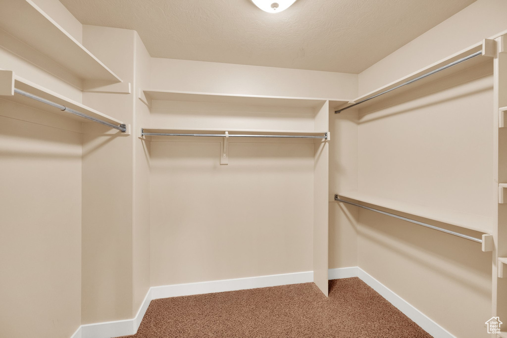 Spacious closet featuring carpet floors