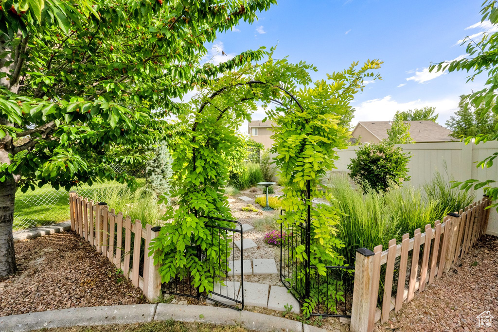 View of fenced backyard