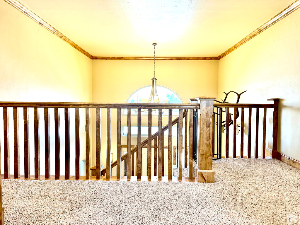 Stairway with carpet and crown molding