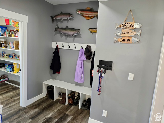 Mudroom featuring wood finished floors and baseboards