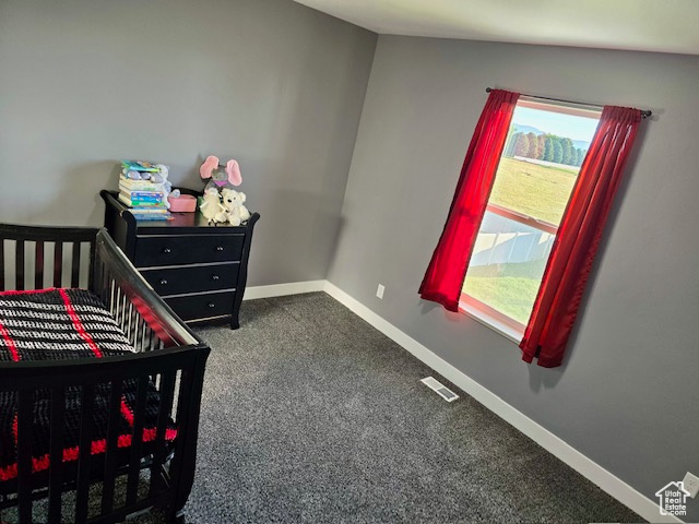 Bedroom featuring multiple windows and dark colored carpet