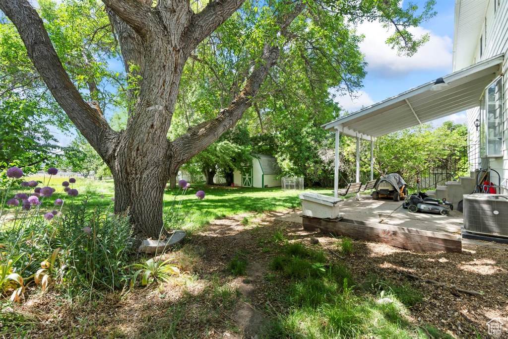 View of grassy yard featuring a storage shed