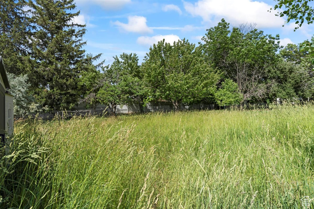 View of nature