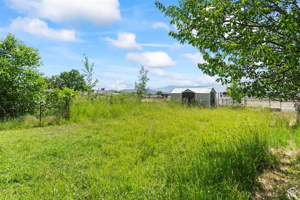 View of yard with an outbuilding