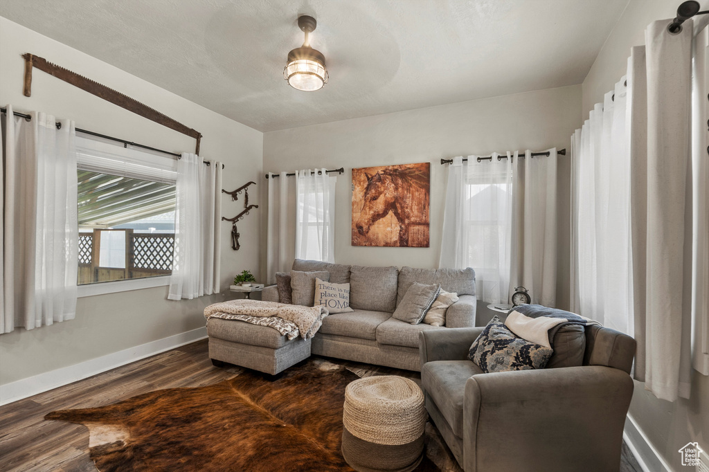 Living area with dark wood-type flooring and baseboards