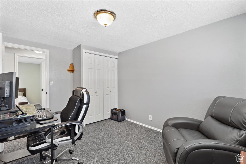 Office space featuring carpet and a textured ceiling