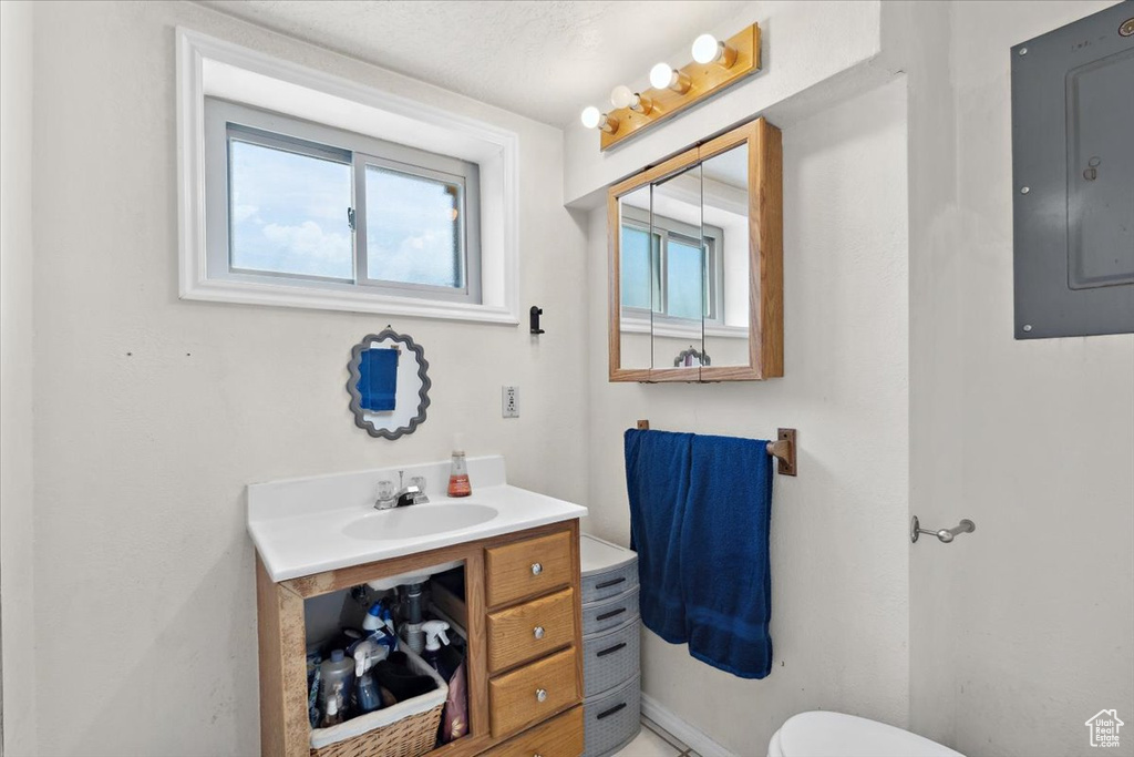Bathroom with electric panel and vanity