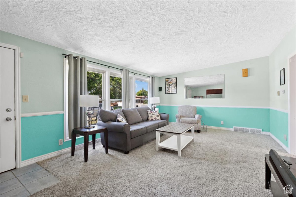 Living area with a textured ceiling and carpet flooring