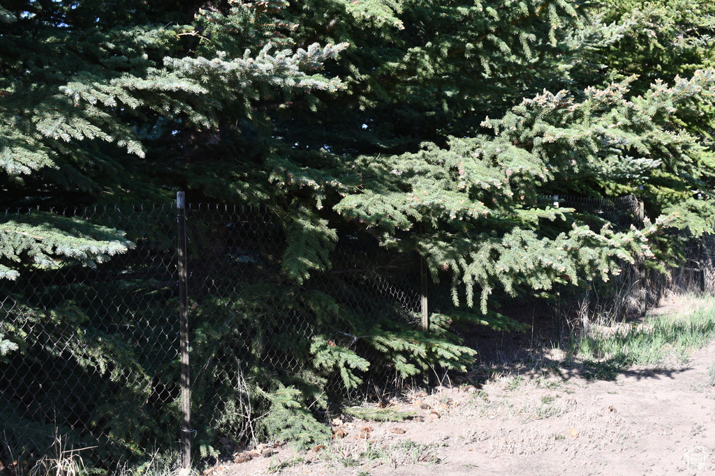 View of nature