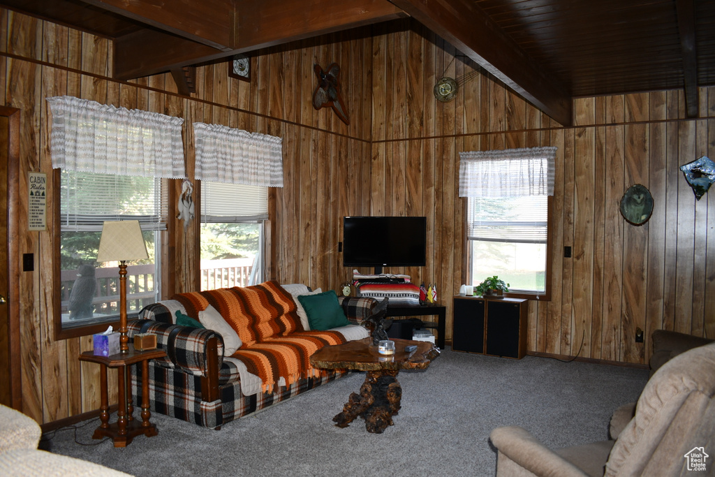 Living room featuring wood walls and carpet