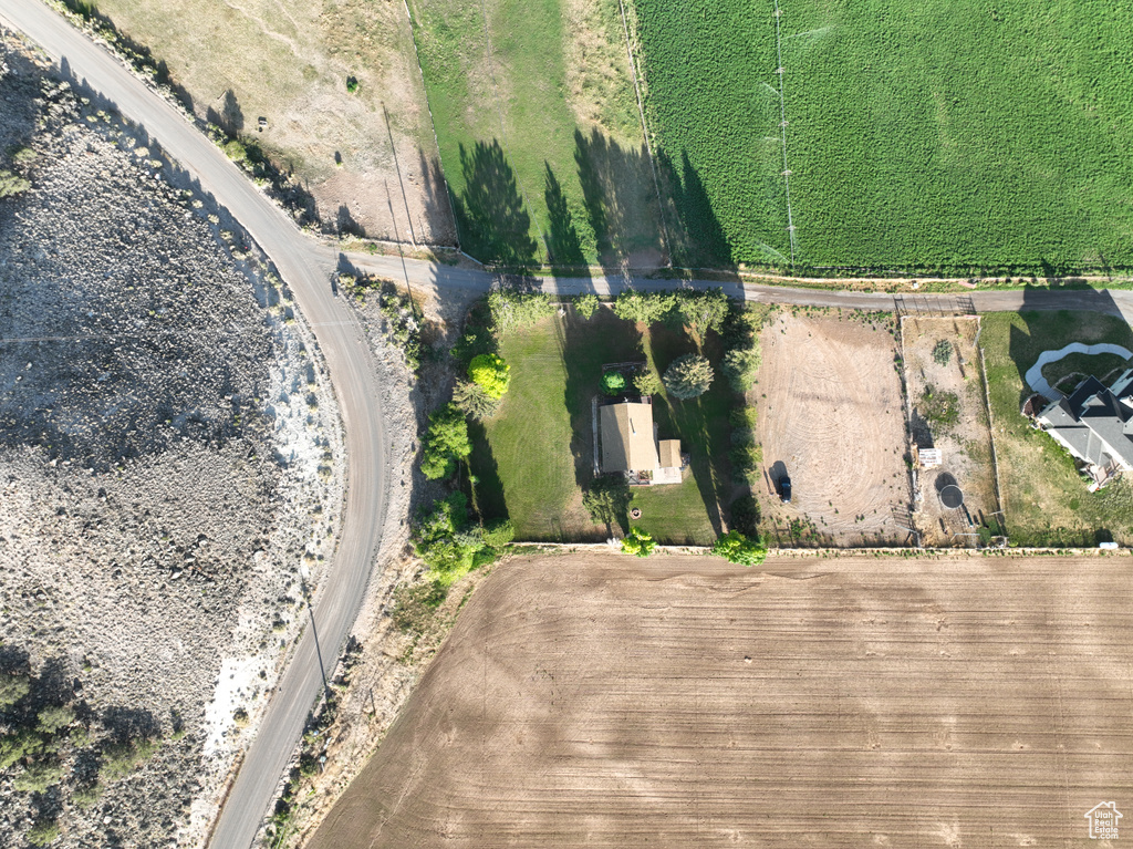 Bird\'s eye view