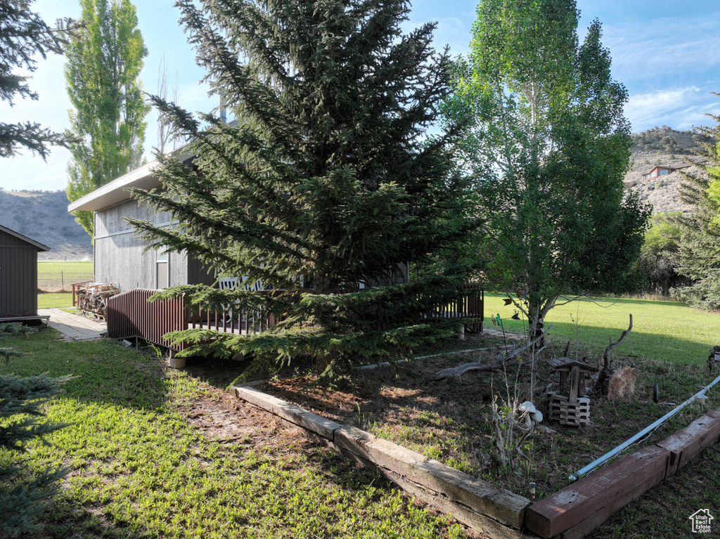 View of grassy yard