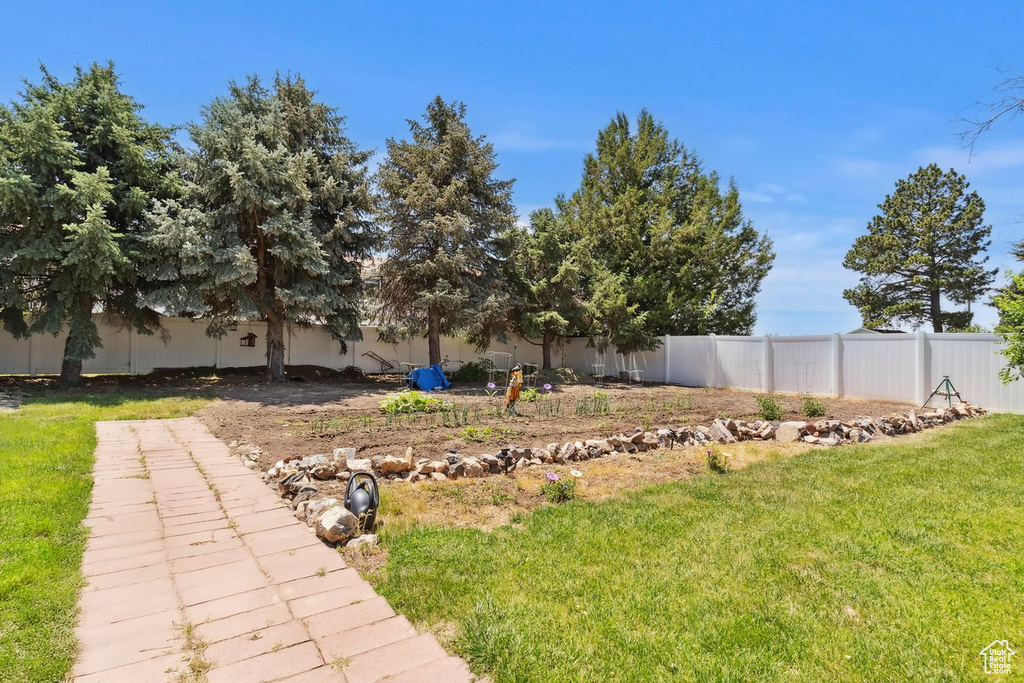 View of fenced backyard