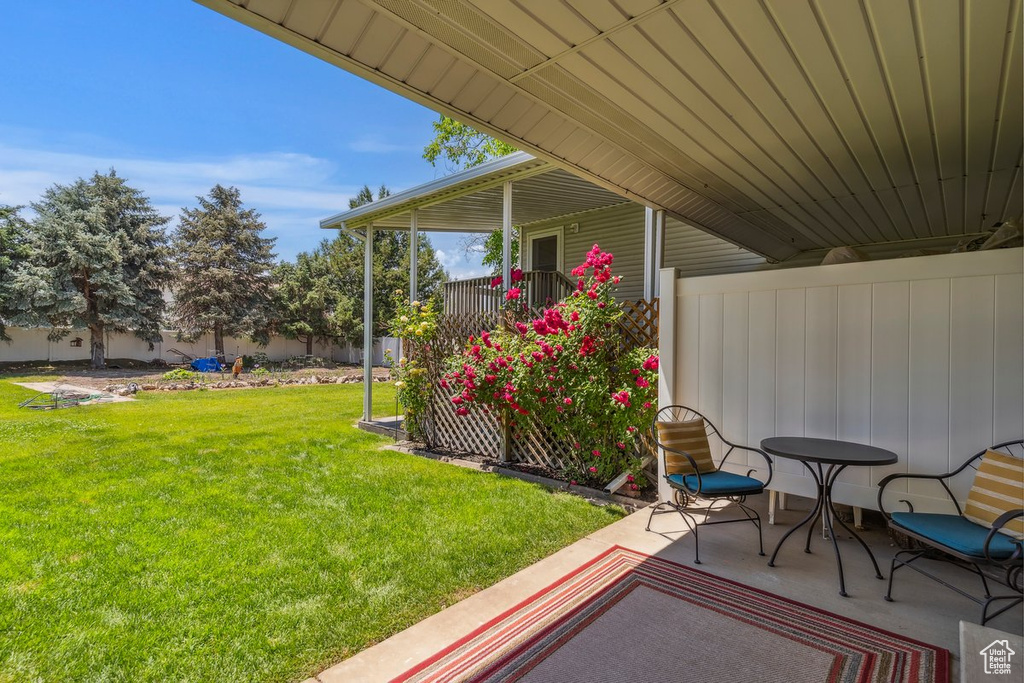View of yard featuring a patio