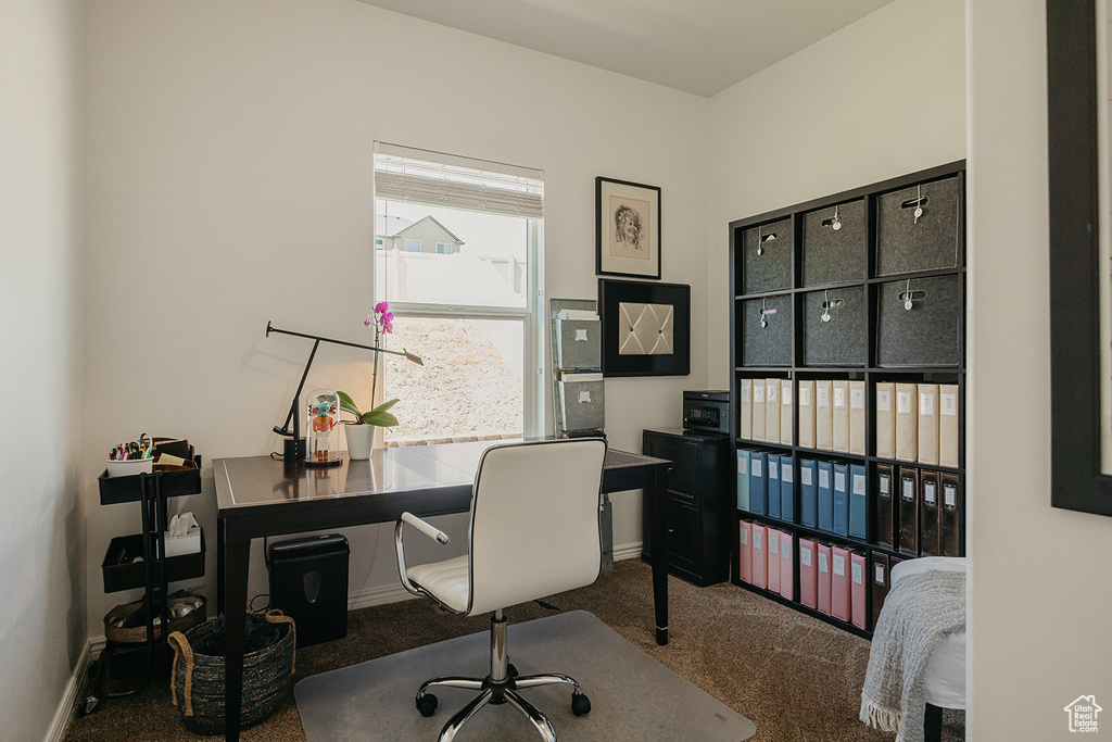 Home office featuring carpet floors and baseboards