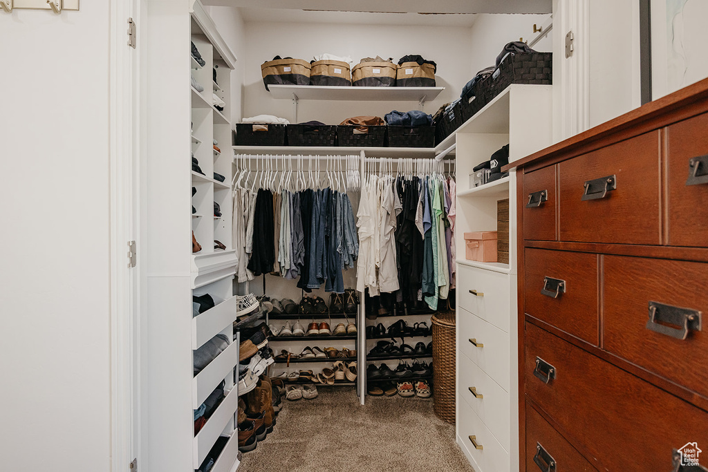 Walk in closet featuring light carpet