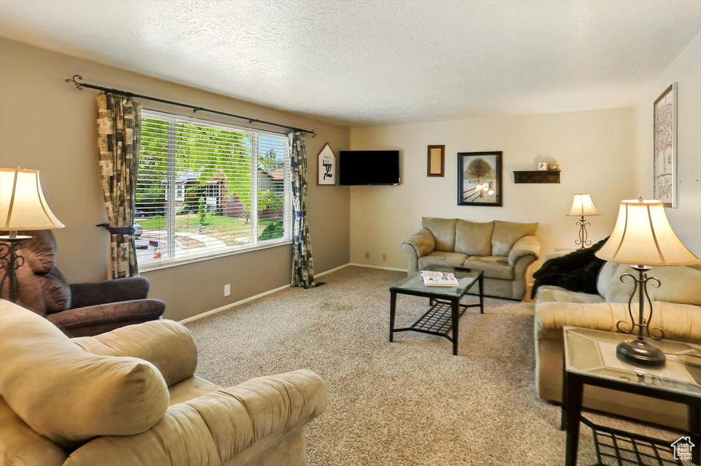 Living room with carpet flooring and a textured ceiling