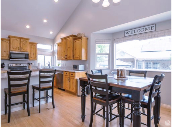 Kitchen featuring appliances with stainless steel finishes, light countertops, recessed lighting, plenty of natural light, and light wood-style flooring
