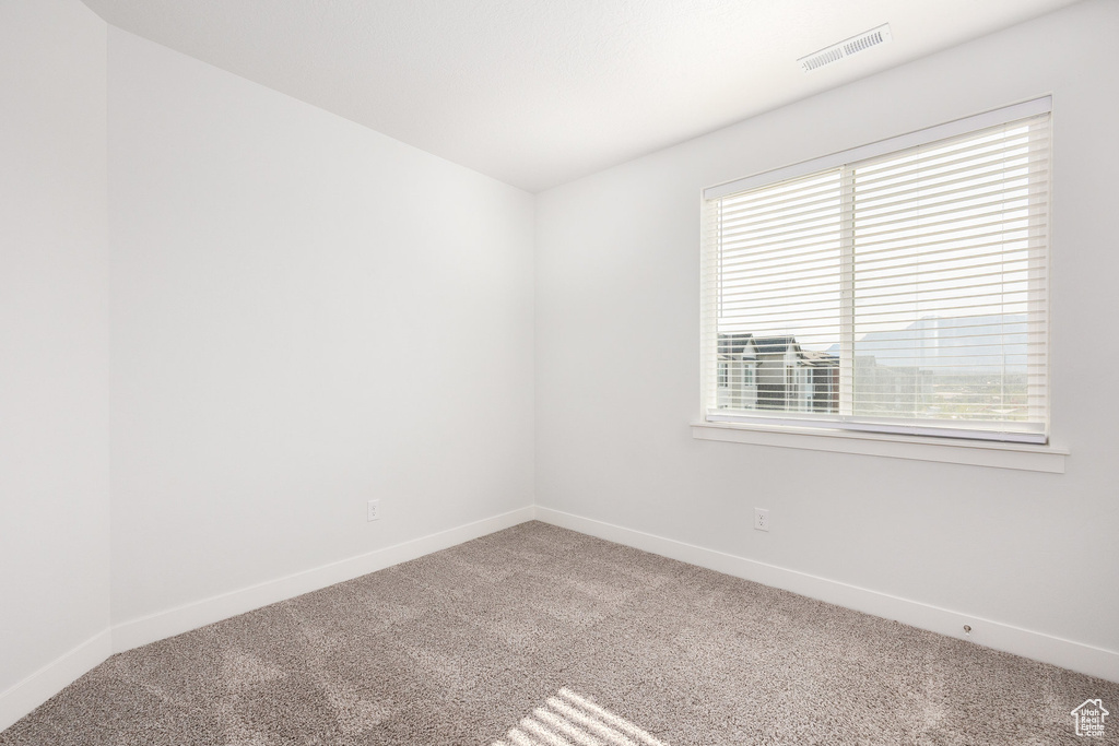 Unfurnished room featuring carpet floors and plenty of natural light