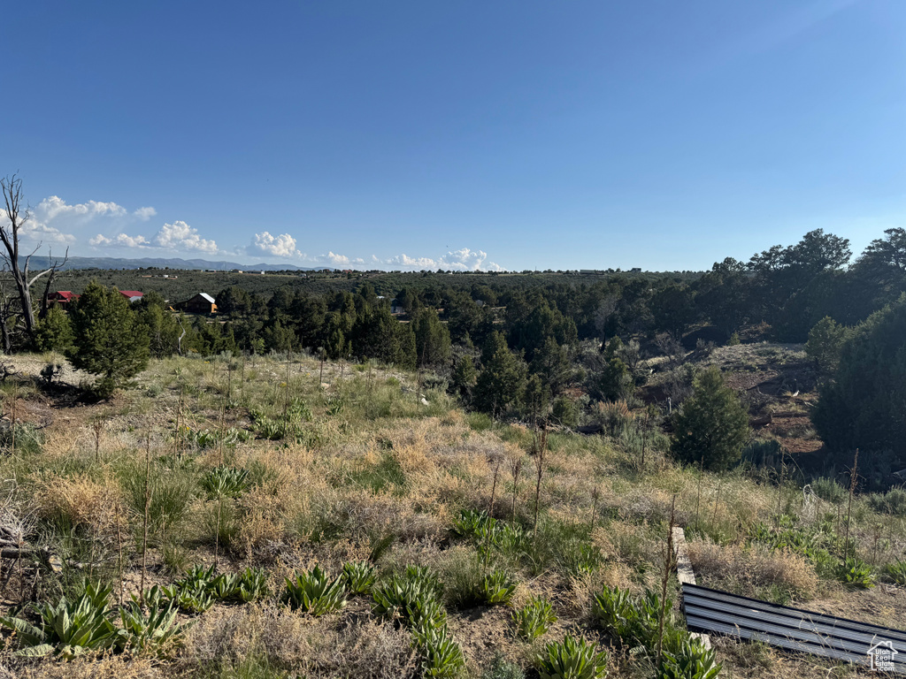 View of mountain background